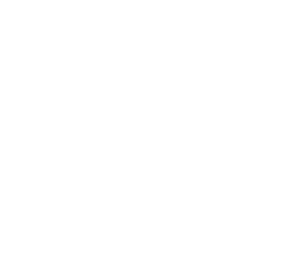 Rheinfels invers